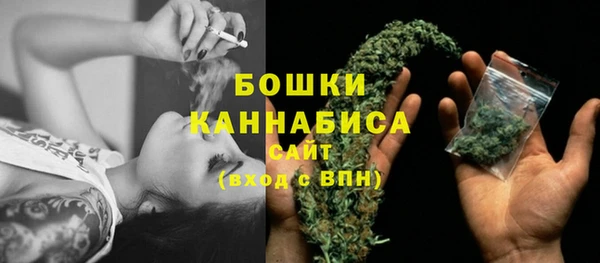 спиды Ельня