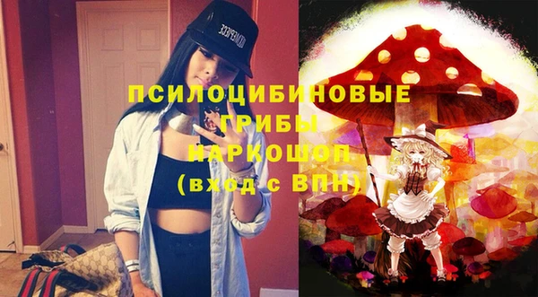 бошки Елабуга
