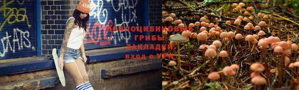 герыч Протвино