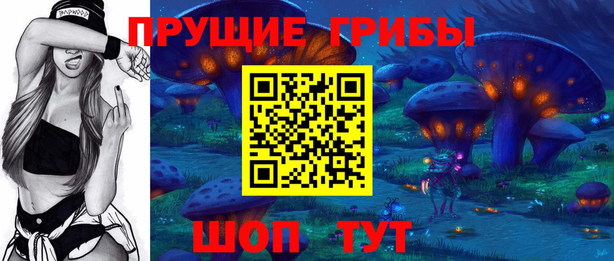 Псилоцибиновые грибы MAGIC MUSHROOMS  Вход с VPN  Псилоцибиновые грибы GOLDEN TEACHER  Бузулук 