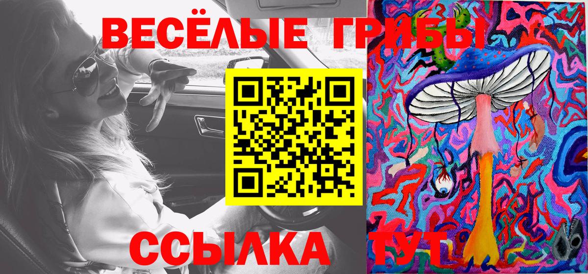 Псилоцибиновые грибы GOLDEN TEACHER Бузулук